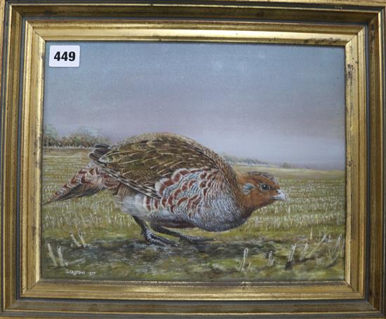 Seagrove, gouache of a red partridge, signed and dated 1977, 24 x 31cm